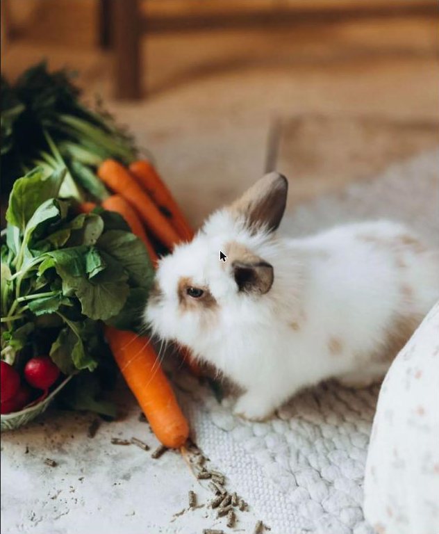 Small white rabbit sniffing fresh carrots and leafy greens